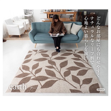 防音消臭ラグ アース