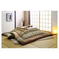 こたつ布団 掛敷セット レイエル(グリーン-205×205cm)