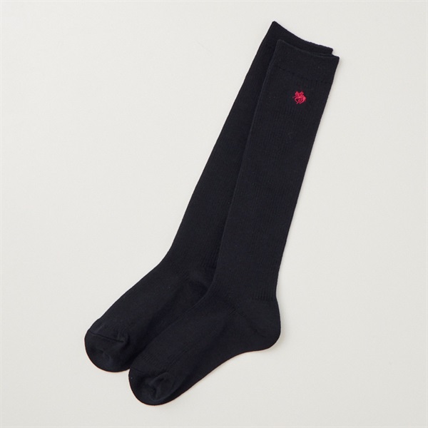 POLO BRITISH COUNTRY SPIRIT(ポロ・ビーシーエス)  ハイソックス キッズ 男の子 女の子(ネイビー-20-22cm)