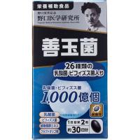 善玉菌 60粒 野口サプリメントシリーズ 野口医学研究所(60粒)