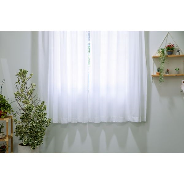 シルバーライン(アイボリー-100×133cm　2枚入)