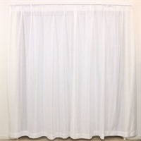 既成レースカーテン シルバリーフレース刺繍風 | イオンスタイル