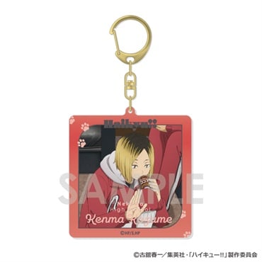 夜勤病棟リメイク 特典 アクリルキーホルダー エビデン 予約 2025年11月上旬発売 【イオン先行】ハイキュー!! アクリル