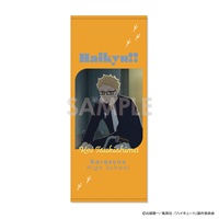 予約 2025年11月上旬発売 【イオン先行】ハイキュー!! タオル