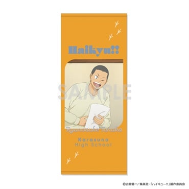 田中龍之介　マフラータオル 予約 2025年11月上旬発売 【イオン先行】ハイキュー!! タオル