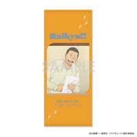 ハイキュー　特大タオル 予約 2025年11月上旬発売 【イオン先行】ハイキュー!! タオル