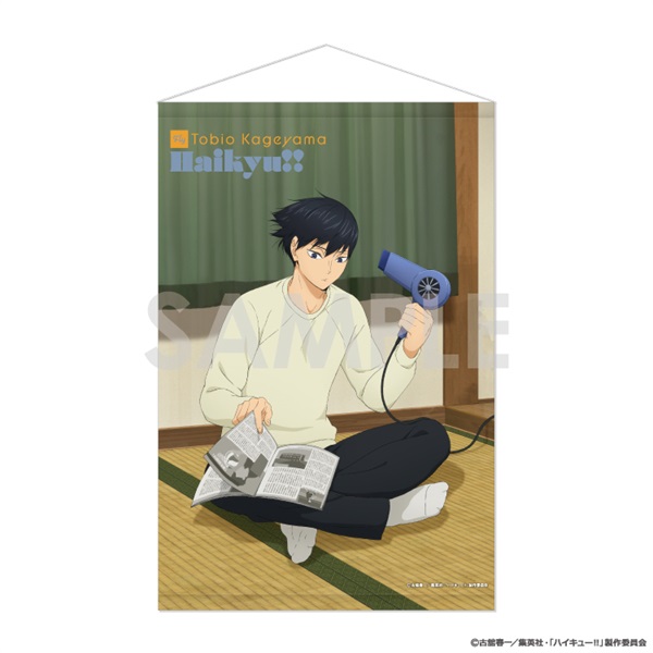 予約 2025年11月上旬発売 【イオン先行】ハイキュー