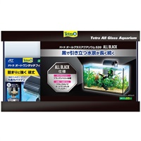 テトラ オールグラスアクアリウム 520 1セット Tetra スペクトラム ブランズ ジャパン(1セット)