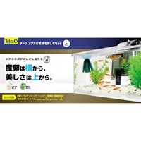 テトラ メダカの繁殖を楽しむセット L Tetra スペクトラム ブランズ ジャパン(L)