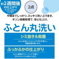 おふとん屋さんの宅配ふとん丸洗い 2点（最大9か月保管付）(4571448612910)