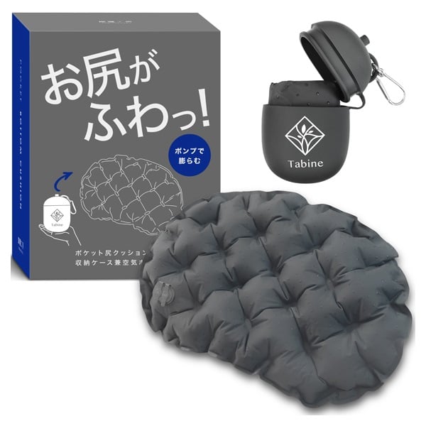 Tabine クッション グレー(ケース付き)