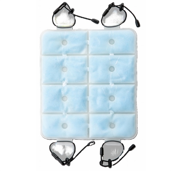 グローバルジャパン Icy クールキャリー | イオンスタイルオンライン