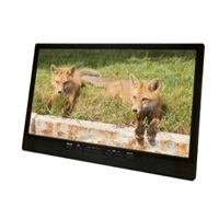 14インチ 地デジチューナー搭載 ポータブルDVDプレーヤー AK-TDV14R