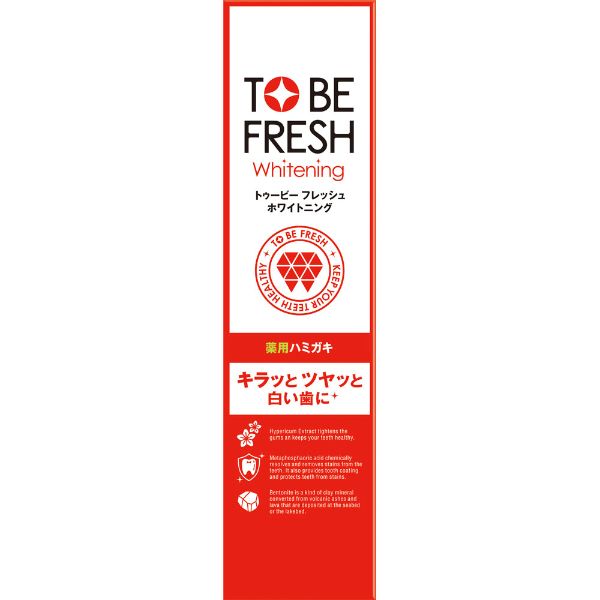 トゥービー・ホワイト 薬用デンタルペースト 100g(デンタルペースト)