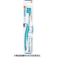 ポリデント デンタルラボ部分入れ歯専用ブラシ 1本 ポリデント アース製薬(部分入れ歯専用ブラシ)