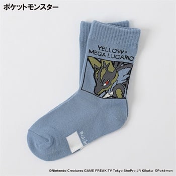 ポケットモンスター クルー丈ソックス 15-20/19-24cm キッズ 男の子(ブルーグレイ-15-20cm)