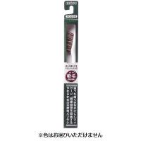 エビス ハブラシ350 1本 エビス EBiSU エビス(軟毛)