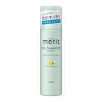 merit DAY+ ドライシャンプー(24本入)旧パッケージ メリット デイプラス ドライ シャンプー 130g メリット merit 花王