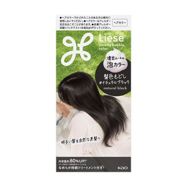 リーゼ 泡カラー 115ml Liese 花王 【医薬部外品】(髪色もどし/ナチュラルブラック)