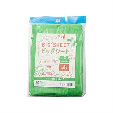 レジャーシート ビッグシート(6畳)