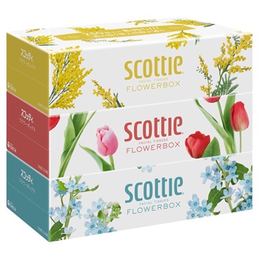 スコッティ ティシュー フラワーボックス 250組3個 スコッティ scottie