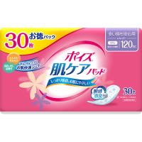 12セット　ポイズパッド 27cm 20枚 銀イオン消臭 ポイズ 肌ケアパッド 多い時も安心用 (レギュラー)120cc
