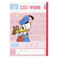 ディズニーストア 岡山限定 キーチェーン チップ＆デール イオン