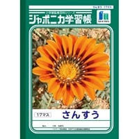 ジャポニカ学習帳 さんすう 17マス セミB5(JL‐2)