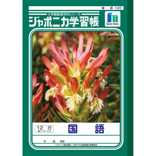ジャポニカ学習帳 国語 12行縦リーダー入り セミB5(JL‐11)