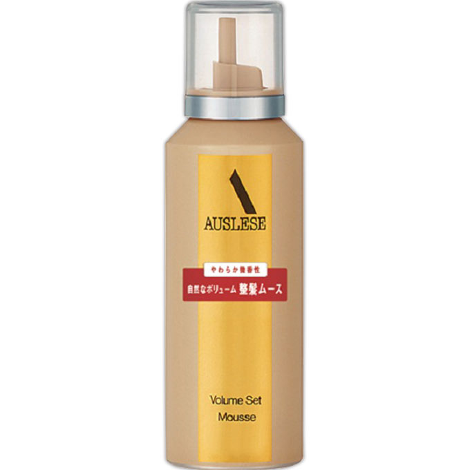 5本セット！　AUSLESE アウスレーゼ　ヘアブローN 5本セット！ AUSLESE アウスレーゼ ヘアブローN