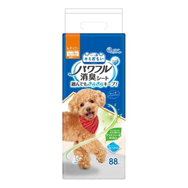 キミおもいパワフル消臭シート大王製紙 | イオンスタイルオンライン