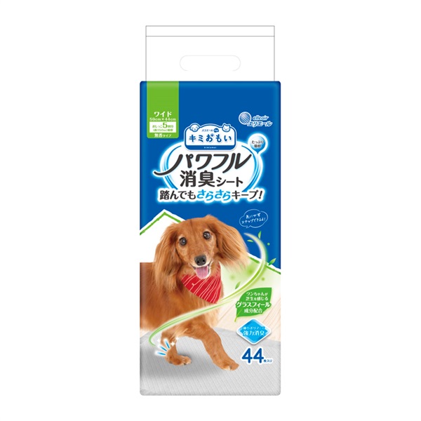 キミおもいパワフル消臭シート大王製紙 | イオンスタイルオンライン