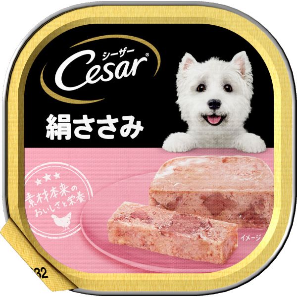シーザー Cesar マースジャパン | イオンスタイルオンライン 衣料品