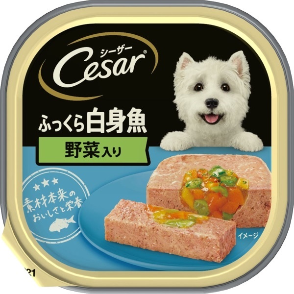シーザー Cesar マースジャパン | イオンスタイルオンライン 衣料品