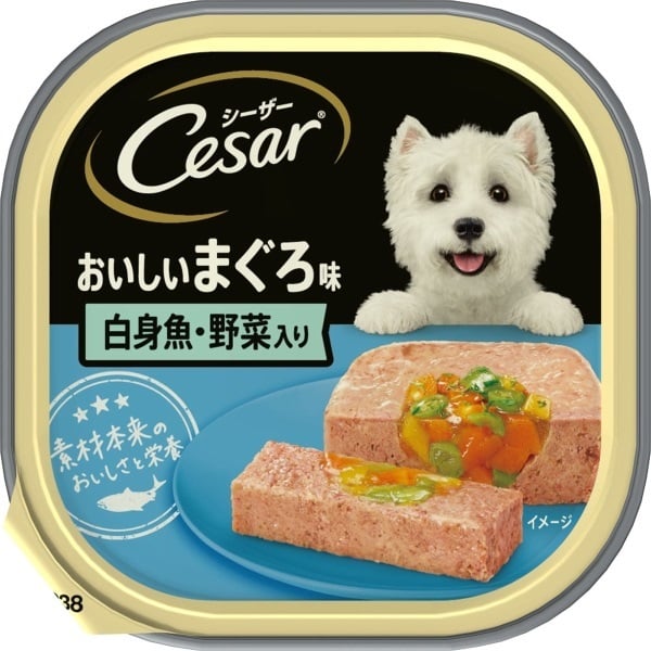 シーザー Cesar マースジャパン | イオンスタイルオンライン 衣料品