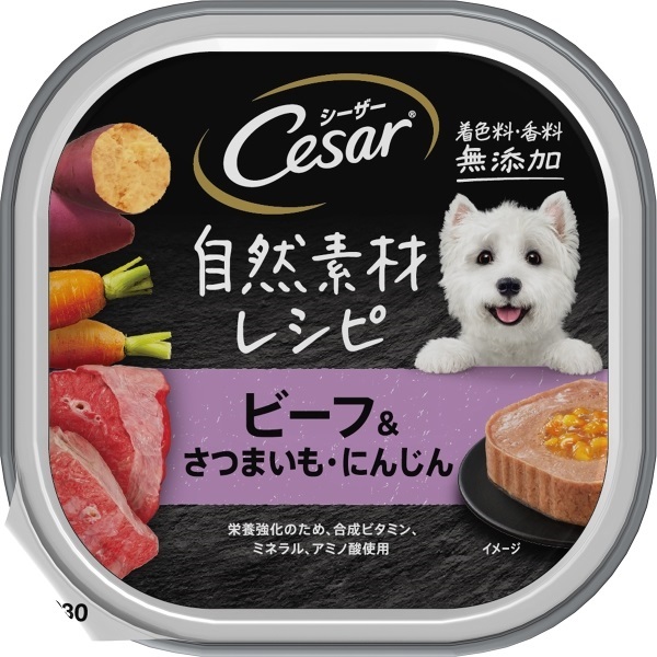 シーザー Cesar マースジャパン | イオンスタイルオンライン 衣料品