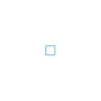 パイロット　フリクションスタンプ(SPF1290LB)