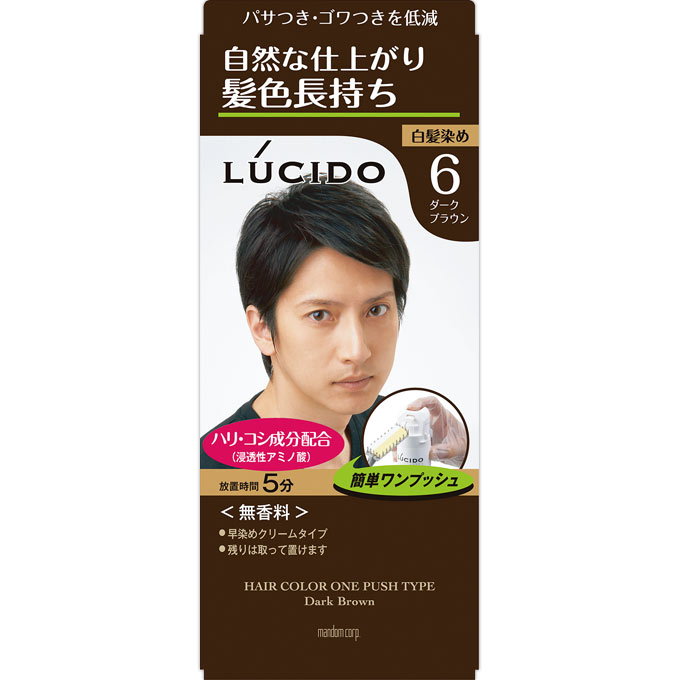 ルシード ワンプッシュケアカラー 1セット ルシード LUCIDO マンダム 【医薬部外品】(ダークブラウン)