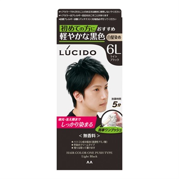 ルシード ワンプッシュ ケアカラー ライトブラック 1剤50g・2剤50g ルシード LUCIDO マンダム 【医薬部外品】