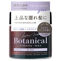 ネイチャーモードボタニカルクリーミーワックス グロス N 72g | イオン