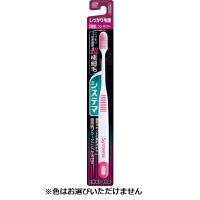 システマ ハブラシ しっかり毛腰タイプ 1本 システマ Systema ライオン(コンパクトふつう)