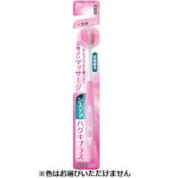 システマ ハグキプラス ハブラシ ワイドコンパクト歯ブラシ 1本 システマ Systema ライオン(ふつう)