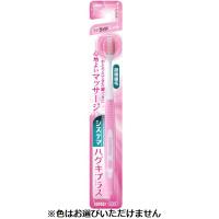 システマ ハグキプラス ハブラシ ワイドコンパクト歯ブラシ 1本 システマ Systema ライオン(やわらかめ)