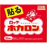 ロッテ ホカロン(貼る30個)