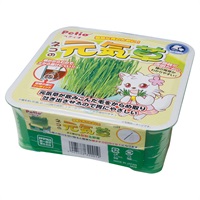 ネコの元気草 1個 ペティオ Petio(1個)