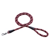 BASIC PLUS ベーシックプラス ネオンプラスリード 15mm レッド ペティオ Petio(レッド)