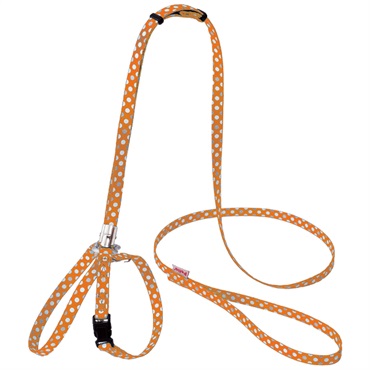 CAT HARNESS キャットハーネス ドットハーネスリード オレンジ ペティオ Petio