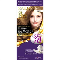 サロンドプロ 泡のヘアカラー エクストラリッチ 1剤50g・2剤50ml サロンドプロ SALON de PRO ダリヤ 【医薬部外品】(2B 明るいベージュブラウン)