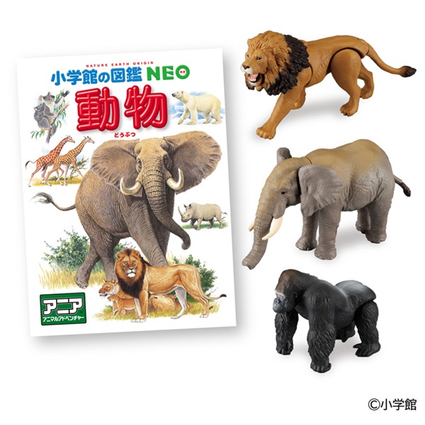 予約 2026年6月27日発売 アニア 小学館の図鑑NEO 動物 ミニ図鑑付き