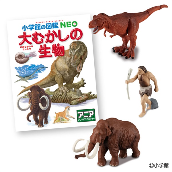 予約 2026年6月27日発売 アニア 小学館の図鑑NEO 大むかしの生物